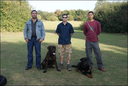 Dog Training Image