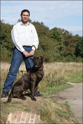 Dog Training Image